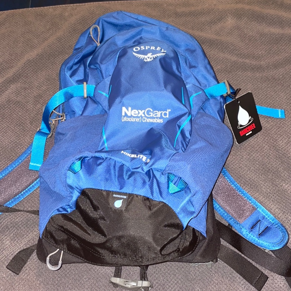 Osprey Hikelite 18 Hiking Backpack